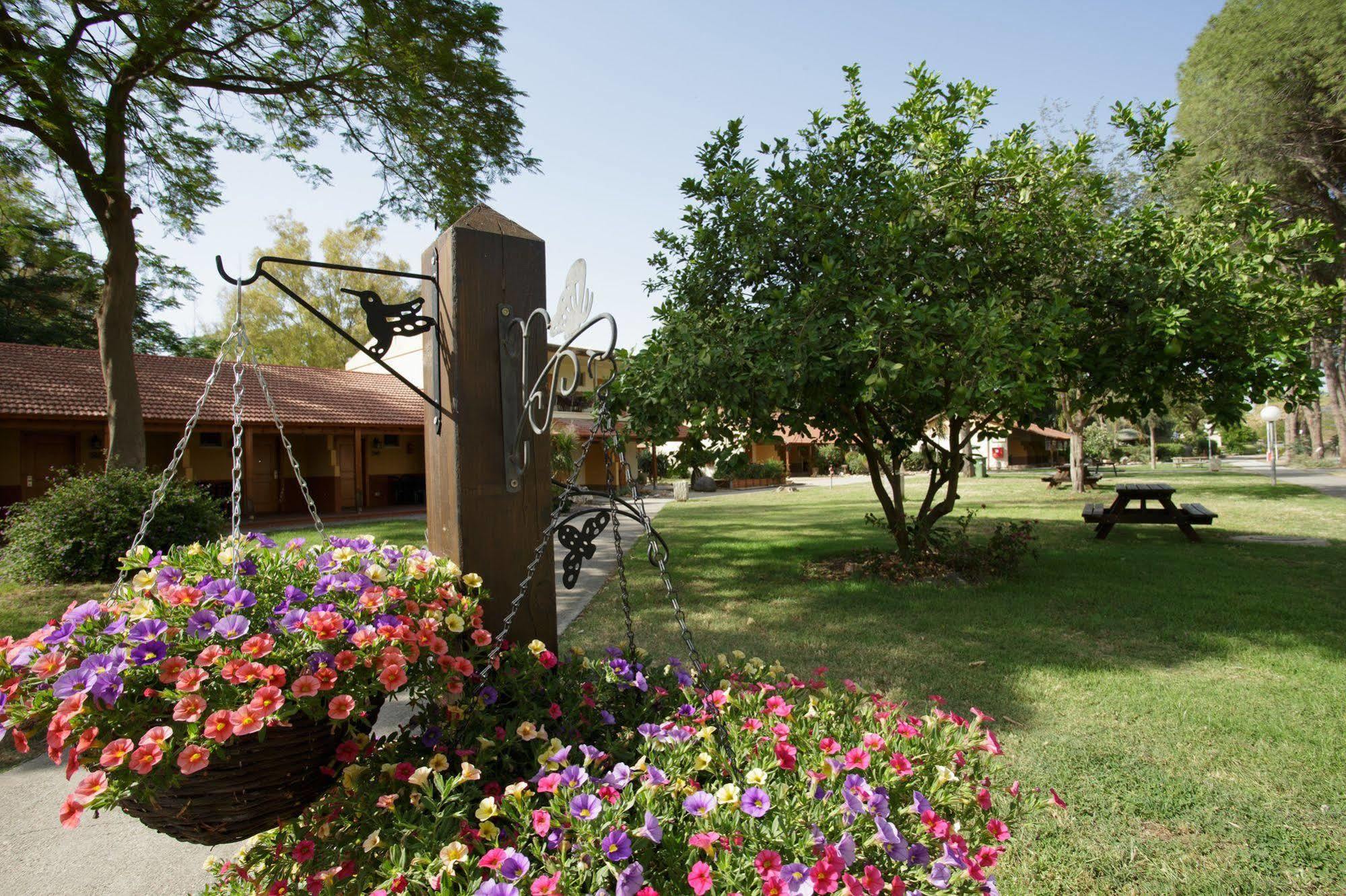 Nof Ginosar Kibbutz Hotel ภายนอก รูปภาพ